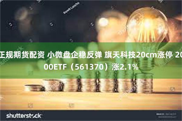 正规期货配资 小微盘企稳反弹 旗天科技20cm涨停 2000ETF（561370）涨2.1%