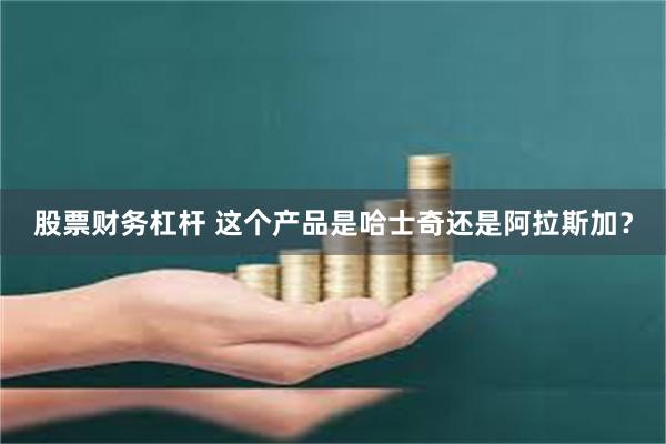 股票财务杠杆 这个产品是哈士奇还是阿拉斯加？