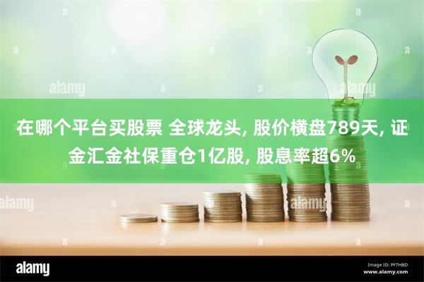 在哪个平台买股票 全球龙头, 股价横盘789天, 证金汇金社保重仓1亿股, 股息率超6%