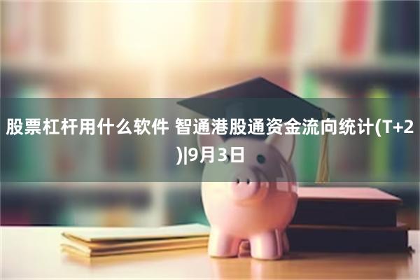 股票杠杆用什么软件 智通港股通资金流向统计(T+2)|9月3日