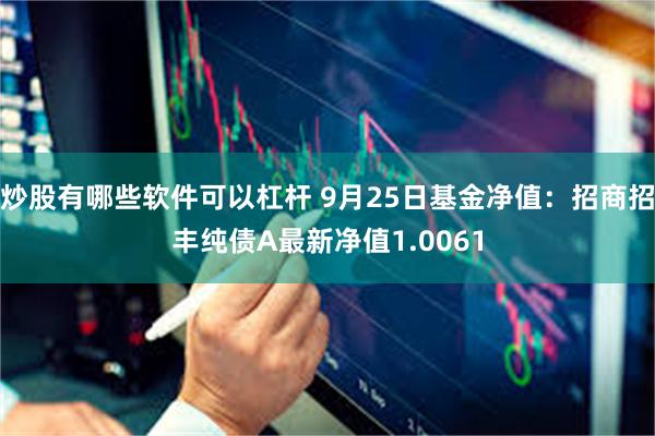 炒股有哪些软件可以杠杆 9月25日基金净值：招商招丰纯债A最新净值1.0061