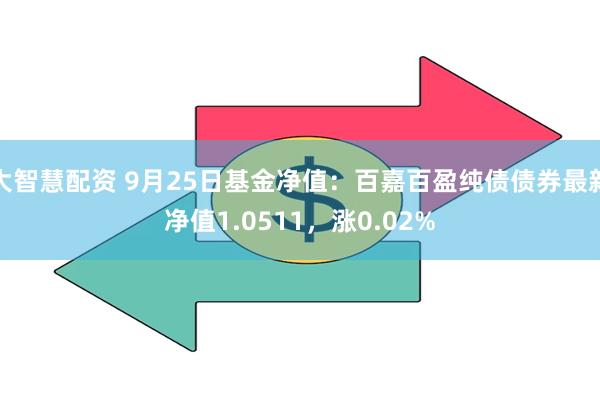 大智慧配资 9月25日基金净值：百嘉百盈纯债债券最新净值1.0511，涨0.02%