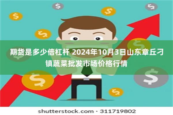 期货是多少倍杠杆 2024年10月3日山东章丘刁镇蔬菜批发市场价格行情