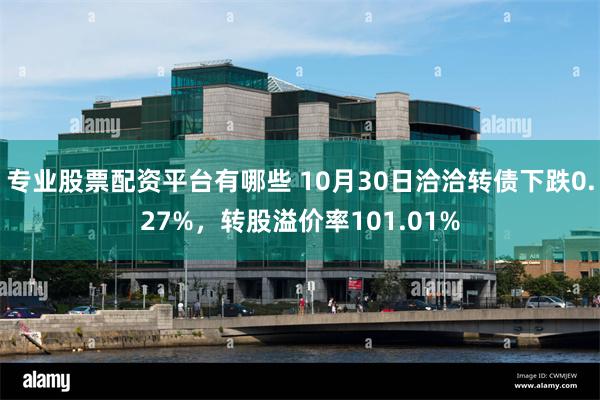 专业股票配资平台有哪些 10月30日洽洽转债下跌0.27%，转股溢价率101.01%