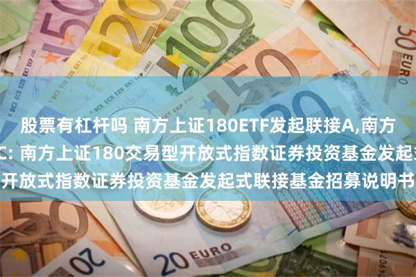 股票有杠杆吗 南方上证180ETF发起联接A,南方上证180ETF发起联接C: 南方上证180交易型开放式指数证券投资基金发起式联接基金招募说明书