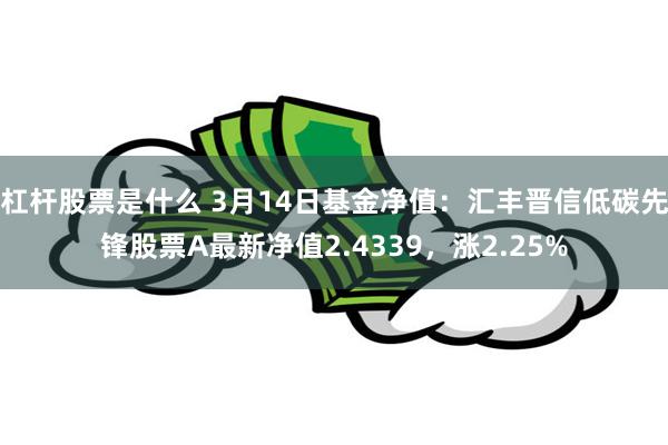 杠杆股票是什么 3月14日基金净值：汇丰晋信低碳先锋股票A最新净值2.4339，涨2.25%